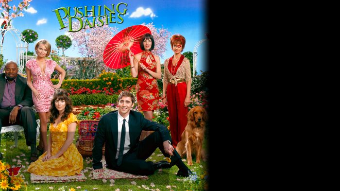 Fanart bad pushingdaisies.jpg